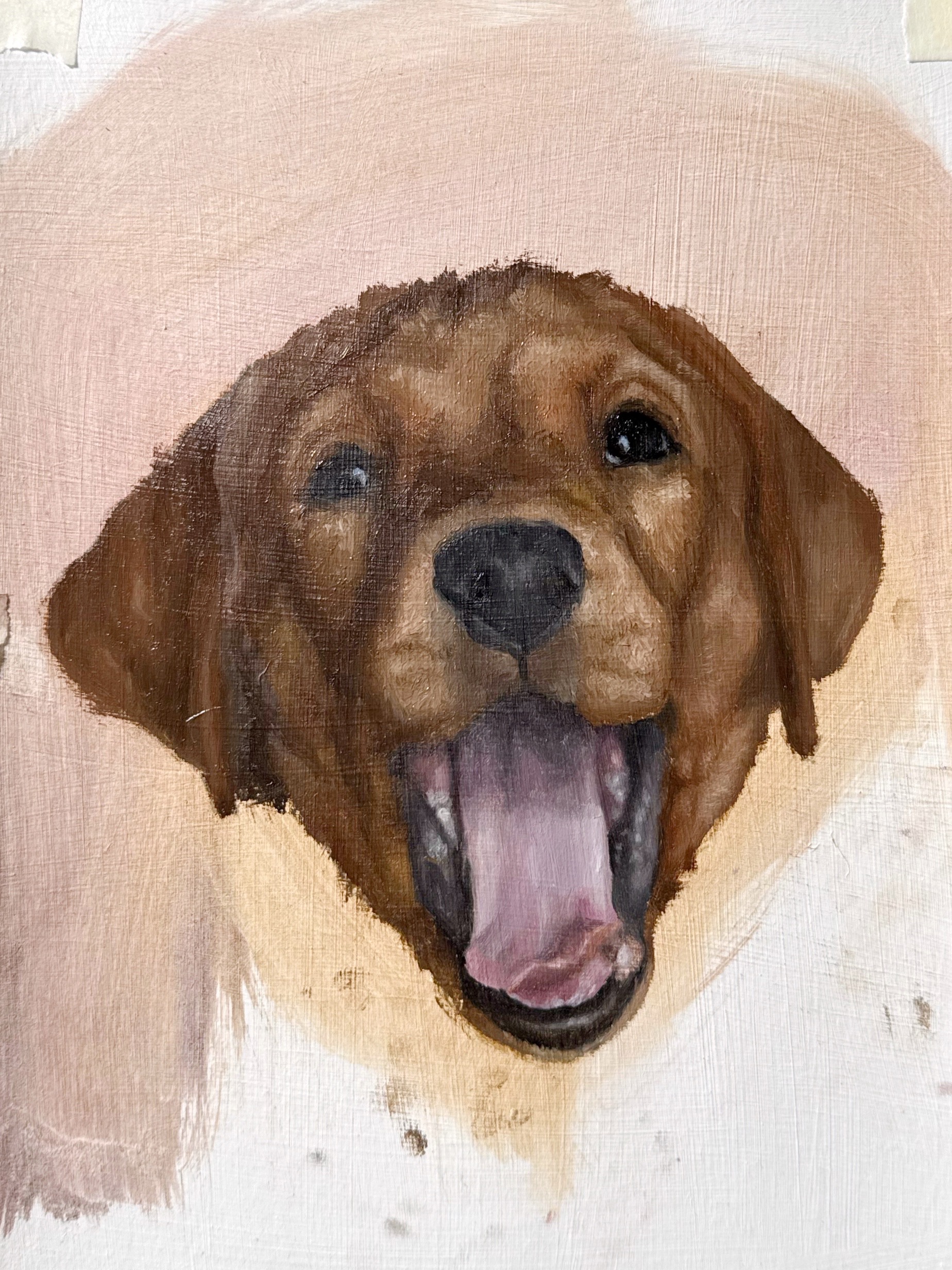 Labrador portrait, oil on panel