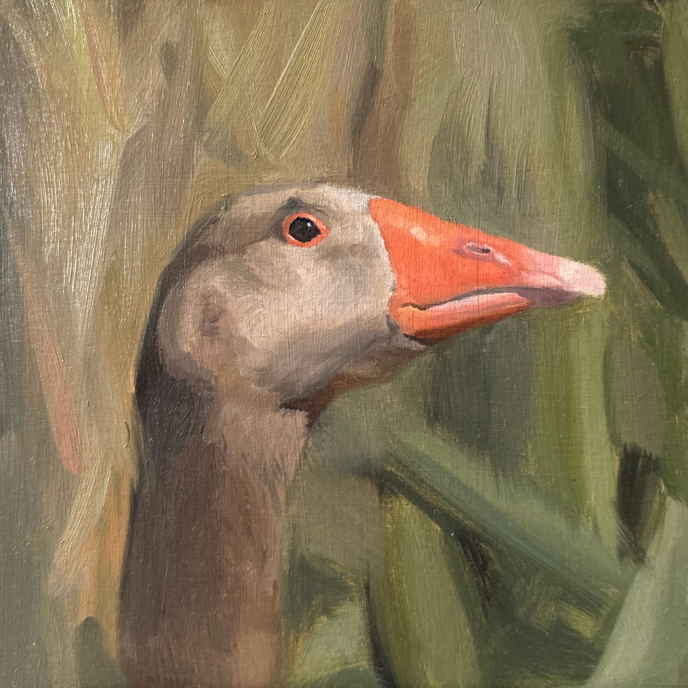 Greylag goose, oil on panel